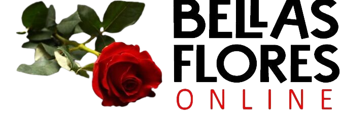 cropped-7f47ac34-d06e-430f-808f-1eb2b399ec68-removebg-preview